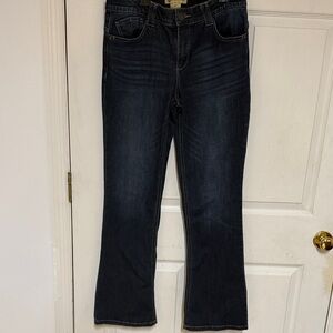 Democracy Dark Blue Flare Jeans